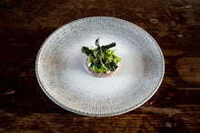 Sway Gourmet Flat Plate - Qty 12 pack - Available in 5 sizes